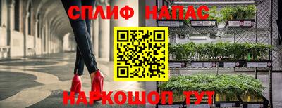 ГАЛЛЮЦИНОГЕННЫЕ ГРИБЫ Кулебаки