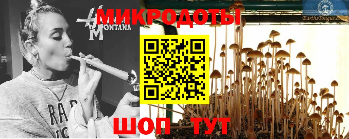 Каменка  Псилоцибиновые грибы Cubensis  Вход с VPN 